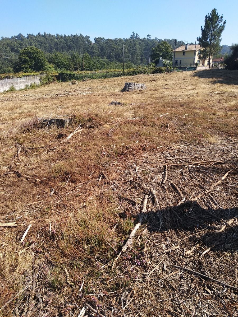 Foto 1 - Finca en Pontevedra, Mourente