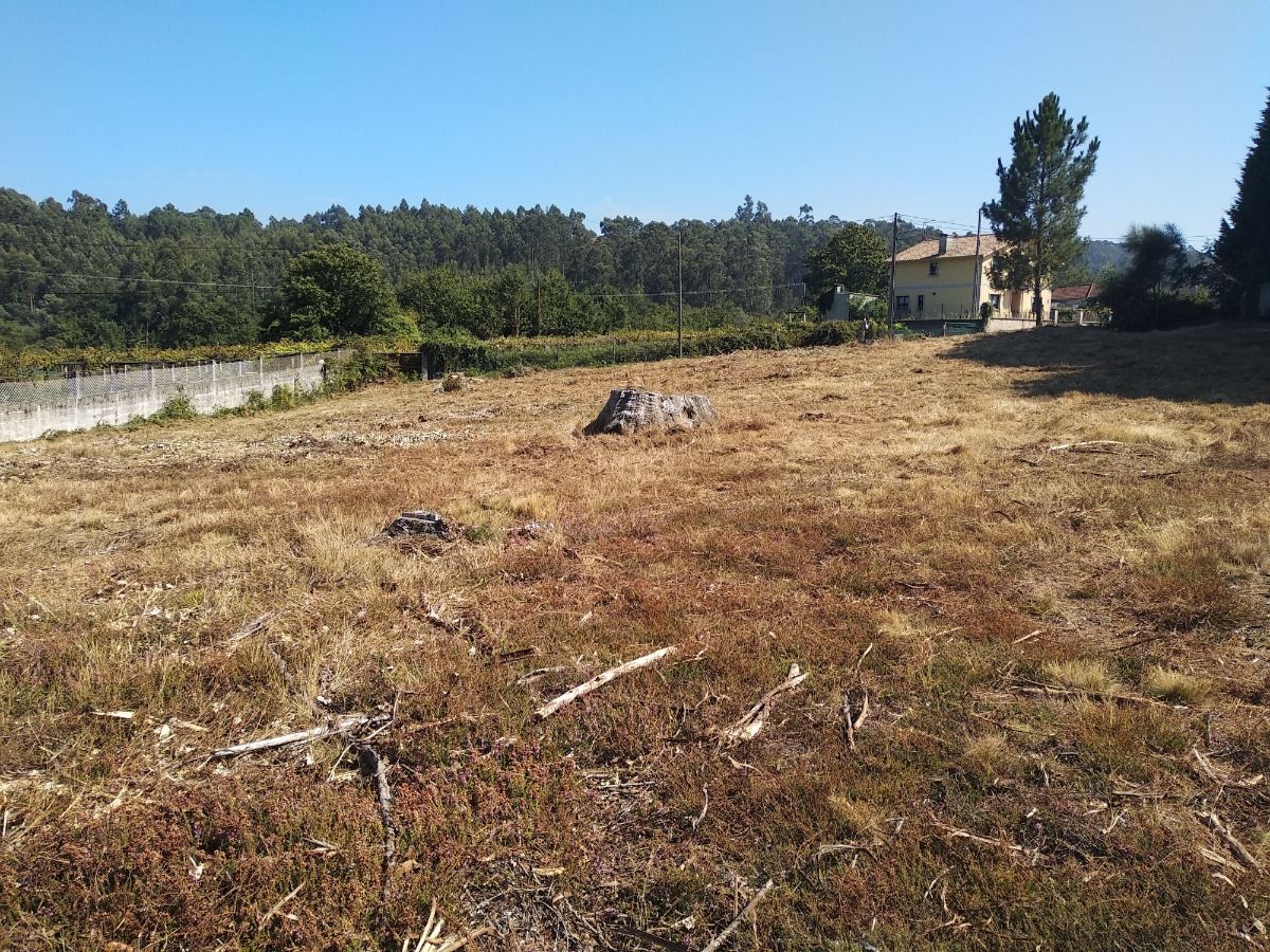 Foto 3 - Finca en Pontevedra, Mourente