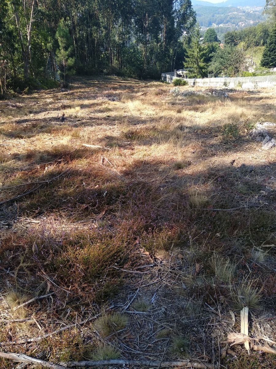 Foto 4 - Finca en Pontevedra, Mourente