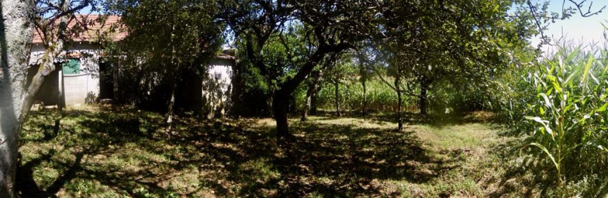 Foto 9 - Casa en Silleda, Escuadro