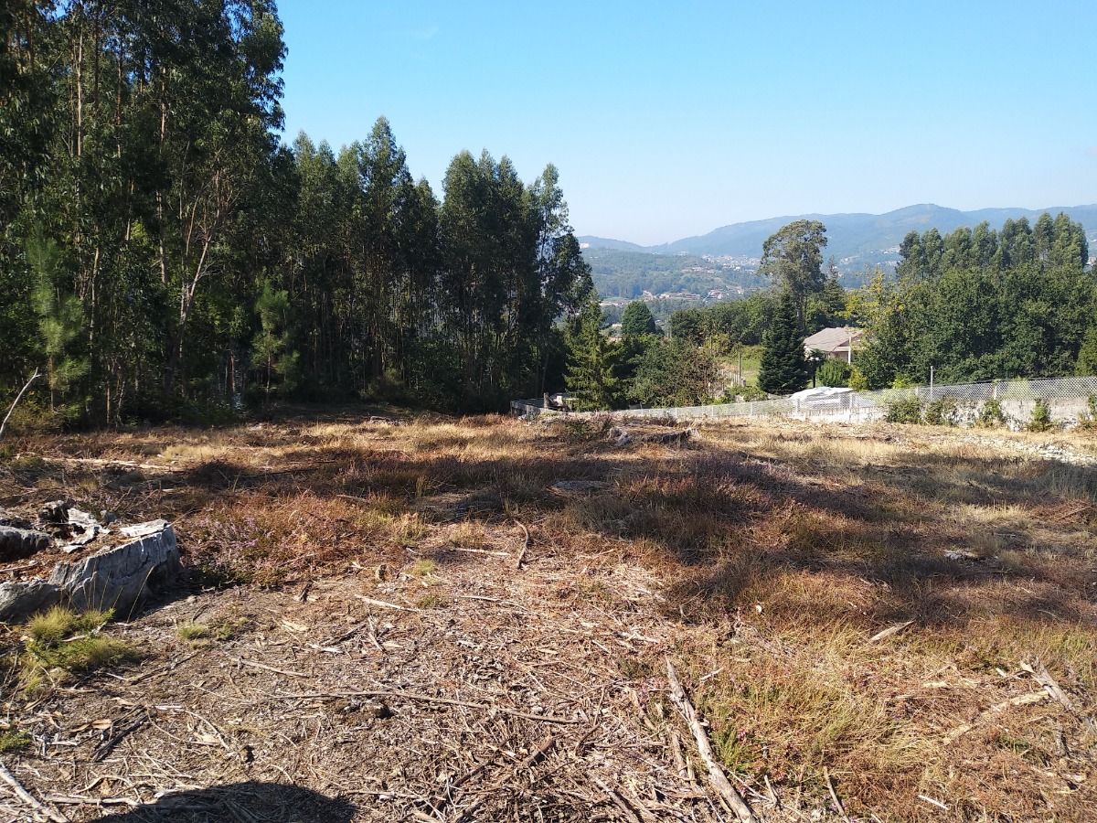 Foto 6 - Finca en Pontevedra, Mourente